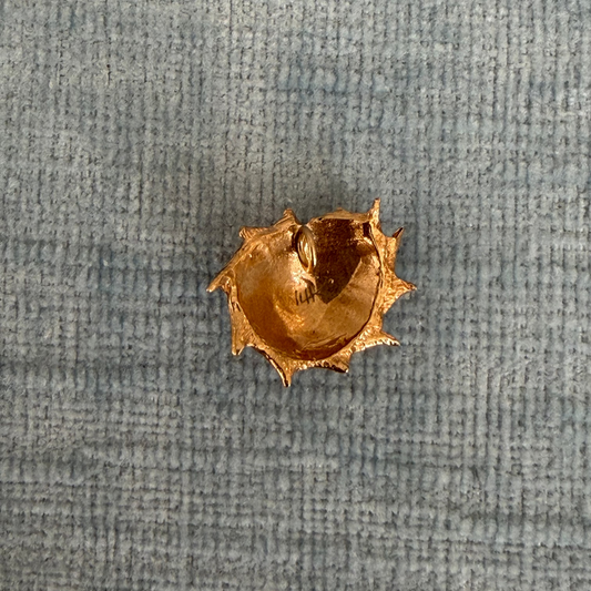 14k Star Turban Shell Charm