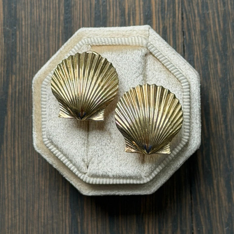 14k Shell Earrings